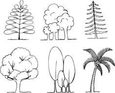 variety of trees in the picture