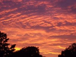red evening sky at sunset over the trees