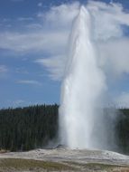 yellowstone old geyser