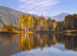 Beautiful and colorful forest landscape with reflections in the water