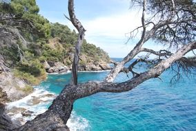 landscape of azure blue ocean bank