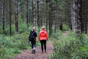 Women walk along a forest trail