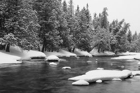 panoramic view of the river among the winter forest