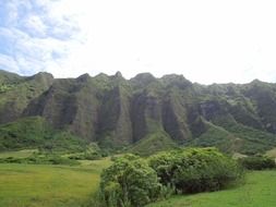 beautiful green mountains in hawaii