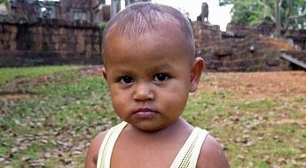 bany in angkor temple