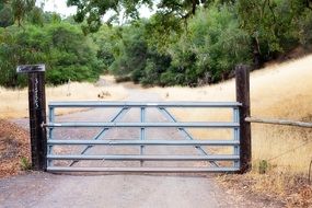 rural iron fence gate