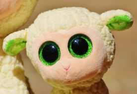 big-eyed sheep