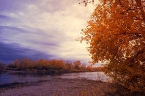 sunset on a river in a wooded area