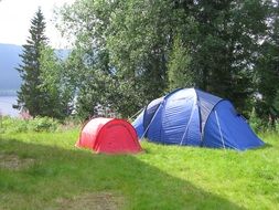 Tents on green grass near the forest