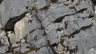 Rock wall in nature