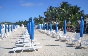 beach with blue umbrellas at parguito