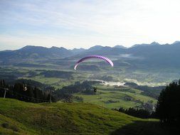 paragliding freedom