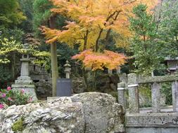 Japanese maple among the stone sculptures