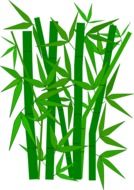 bamboo green leaves drawing