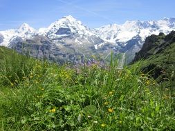 swiss alpine mountain