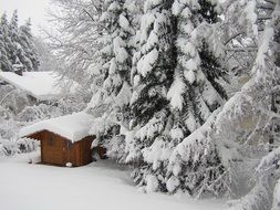 house in the winter forest