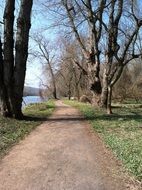 trail near bare trees in spring