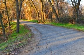 paved path in the park