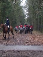 Hunting on the horses in forest as an ancient tradition