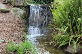 small waterfall among the stones in the forest