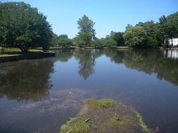 pond in a park in new york