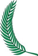 green leaf of a botanical plant