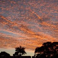 bright sunset sky in the tropics