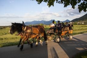breathtaking horse drawn carriage