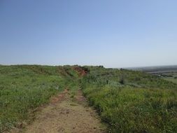 Landscape of Coronado Heights