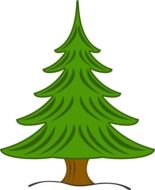 drawing of a pine tree