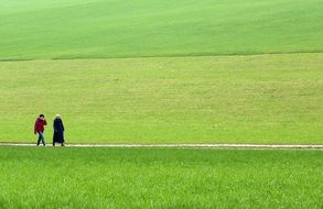 promenade in the green grass meadow