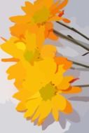 splendiferous orange flowers drawing