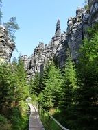 greenhouse cliffs behind the forest