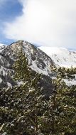 snowy mountain in Nevada