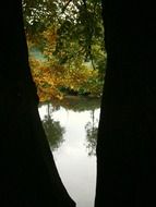 idyllic autumn landscape in the forest