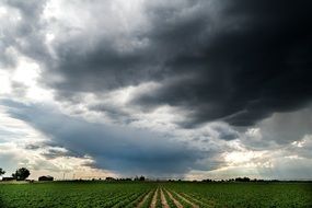 dark clouds over the green field