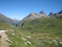 green valley in the alpine mountains