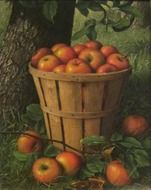 still life by levi wells
