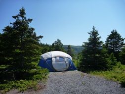tent between trees in quebec on a sunny day