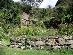 straw hut in the thickets of the forest