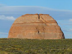 Coconino among the colorful plants in Arizon, USA