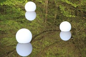lanterns like white balls on a lake in a wild forest