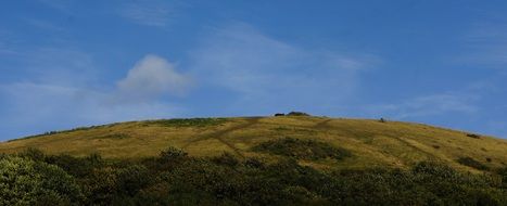 meadow on hill under blue sky