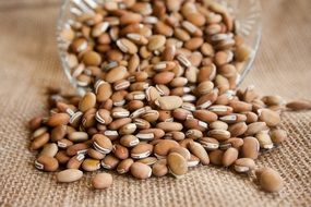 beans lie on a sack cloth