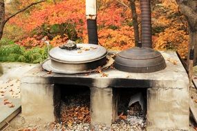 Cauldron among the plants