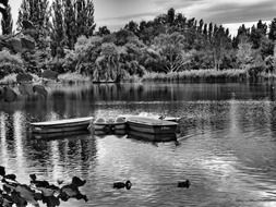 Black and white photo of the boat in the water