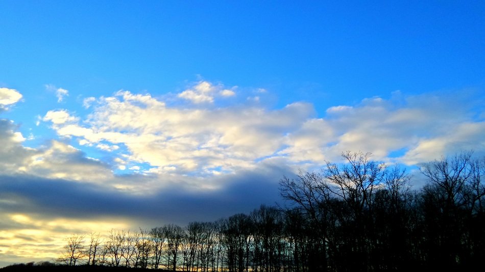 Clouds on the field and forest