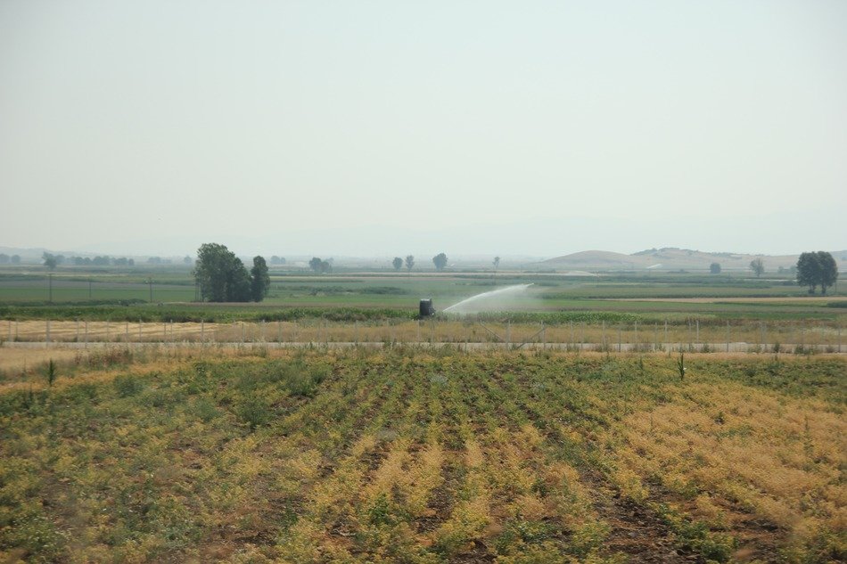 watering of green field