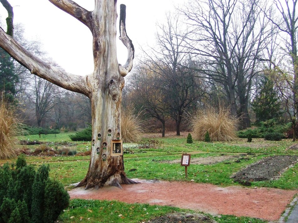 Landscape of Szeged Hungary