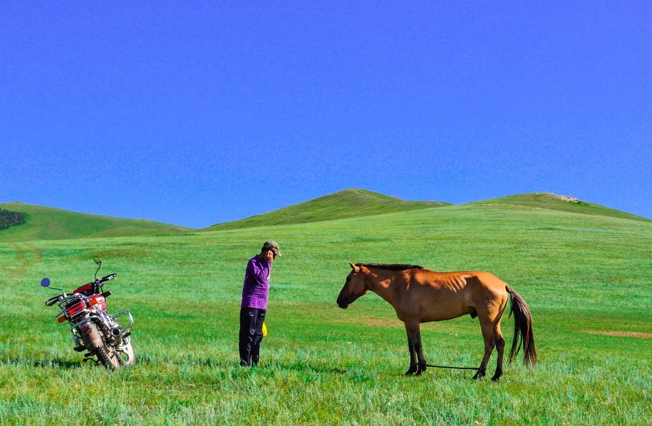 man, bike and horse on a field in Mongolia